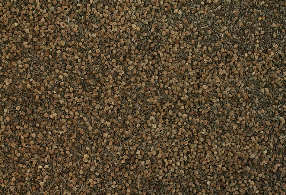 Agrobs Herb Blend Seeds Agrobs Herb Blend Seeds