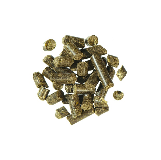 Alpengrün Pellet Futterabbildung Alpengrün Pellet Futterabbildung