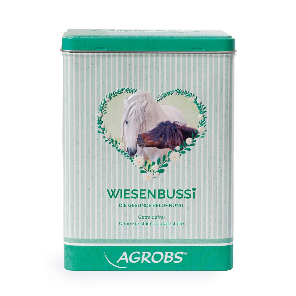 Bussi Box vorne Bussi Box vorne
