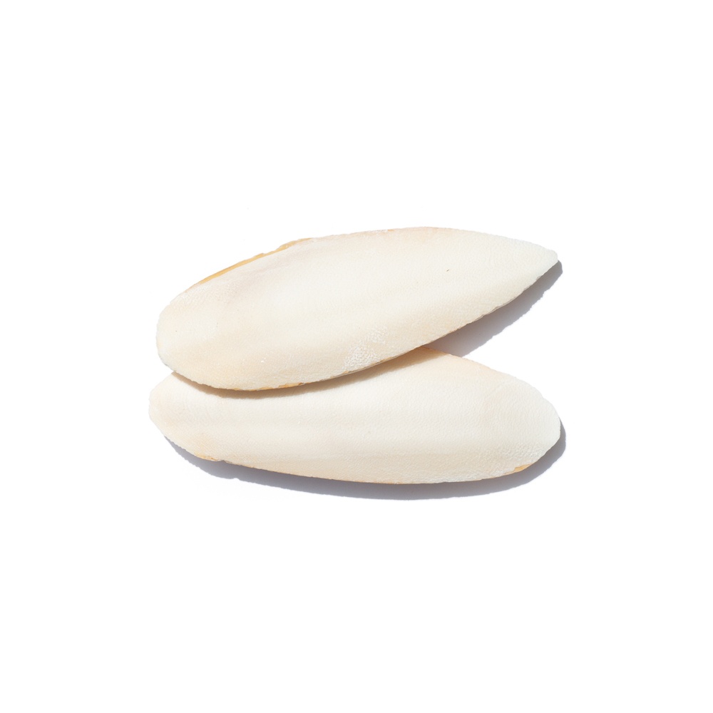 Produktshot Sepiaschalen