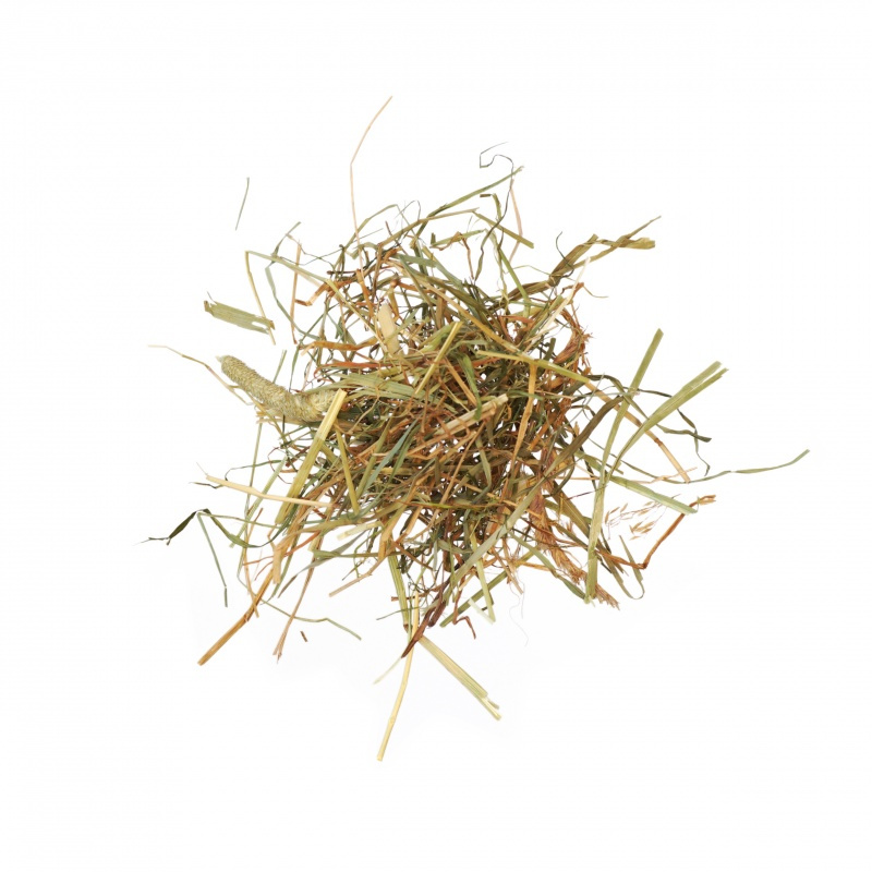 Agrobs Alpenheu lose
