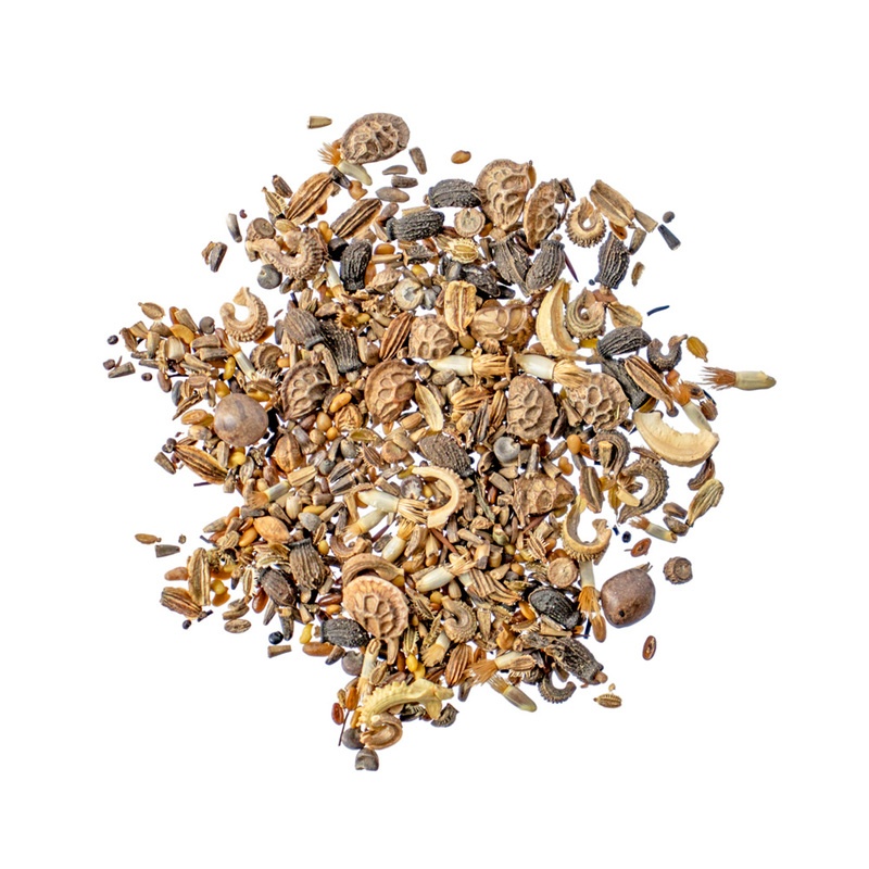 Testudo Saatgut Produktshot