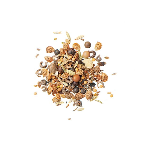 Testudo Saatgut Produktshot