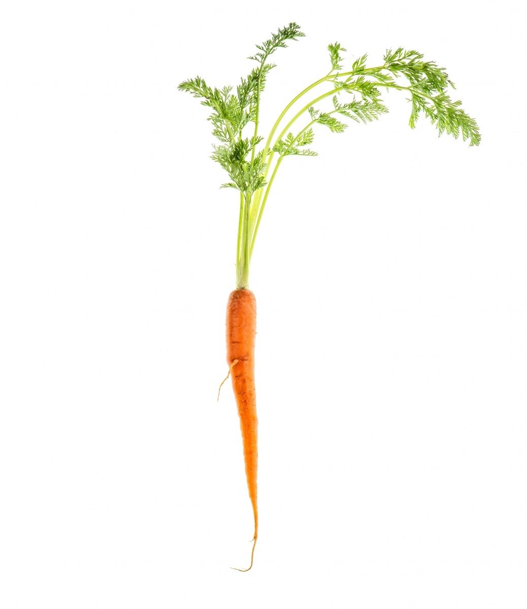 Die Welt Der Mikronahrstoffe Agrobs De