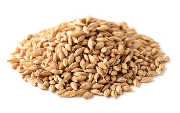 Barley in horse feed Barley in horse feed